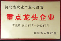 门徒娱乐-科技赋能场景,让娱乐更有趣!