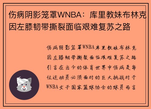 伤病阴影笼罩WNBA：库里教妹布林克因左膝韧带撕裂面临艰难复苏之路