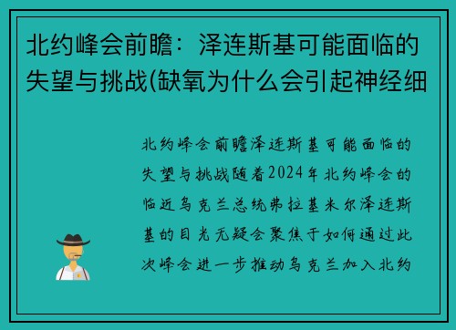 北约峰会前瞻：泽连斯基可能面临的失望与挑战(缺氧为什么会引起神经细胞兴奋性降低)