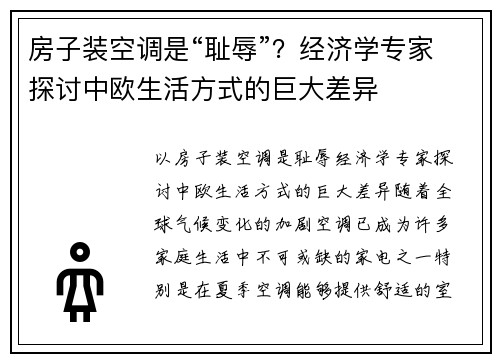 房子装空调是“耻辱”？经济学专家探讨中欧生活方式的巨大差异