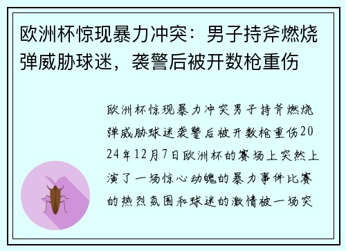 欧洲杯惊现暴力冲突：男子持斧燃烧弹威胁球迷，袭警后被开数枪重伤