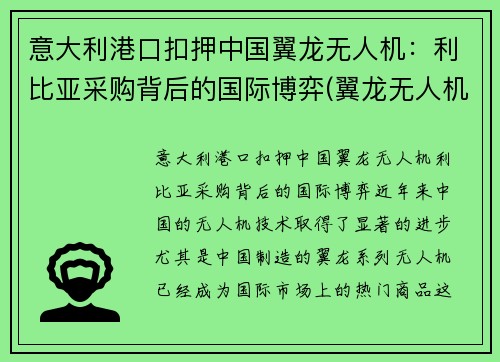 意大利港口扣押中国翼龙无人机：利比亚采购背后的国际博弈(翼龙无人机国外实战)