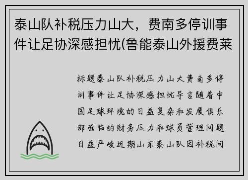 泰山队补税压力山大，费南多停训事件让足协深感担忧(鲁能泰山外援费莱尼)